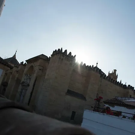 El Pilar Cordoba